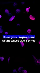 Dive into Live Music and Ocean Wonders at the Georgia Aquarium's Sound Waves Music Series