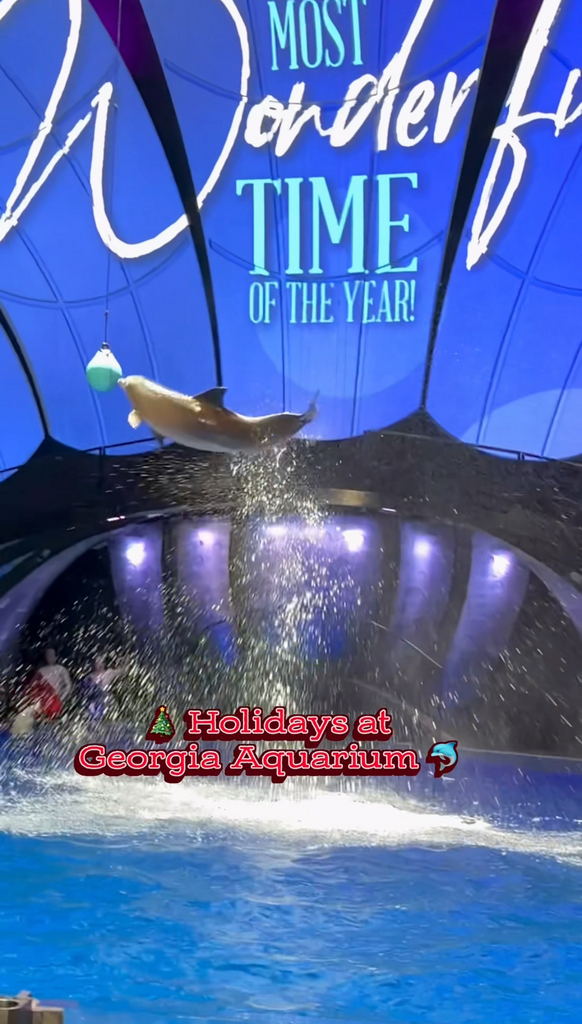 Holidays at Georgia Aquarium NOW through January 2