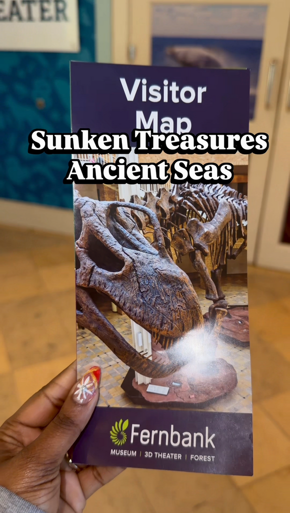 Sunken Treasures, Ancient Seas at Fernbank